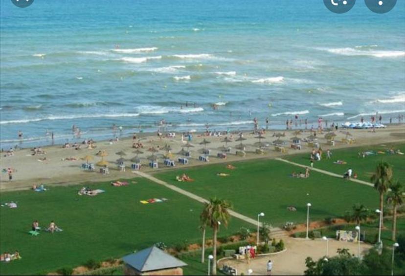 Marina Trebol Playa